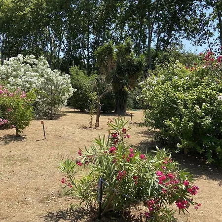 Bed & Breakfast La Griottière 3*